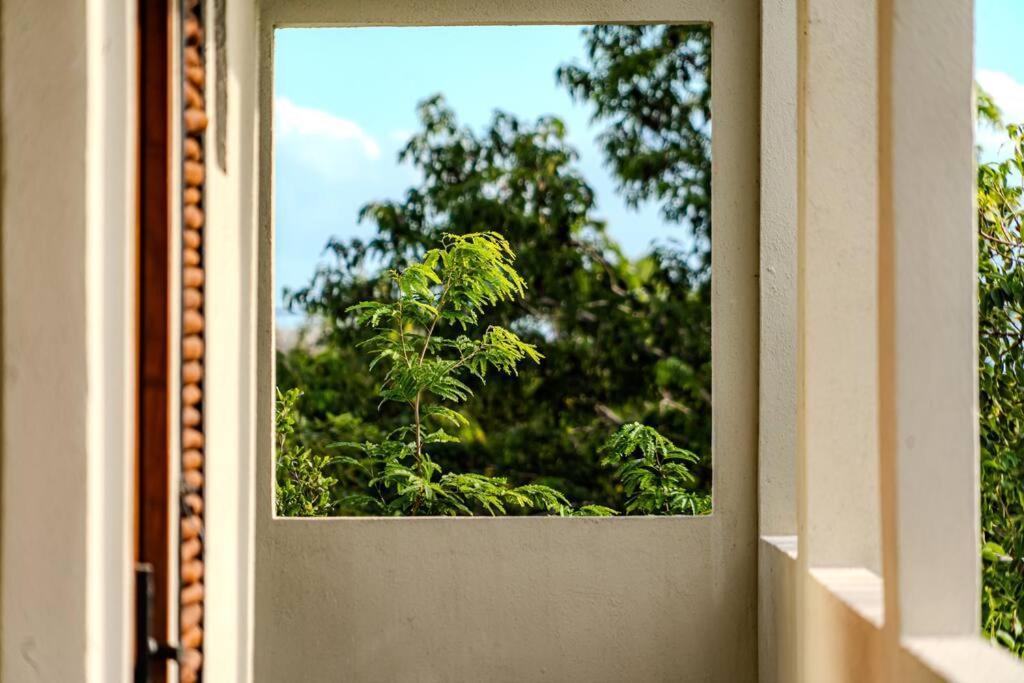 Appartement Ph With Private Pool And Bikes Tulum