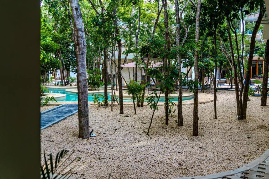 Appartement Ph With Private Pool And Bikes